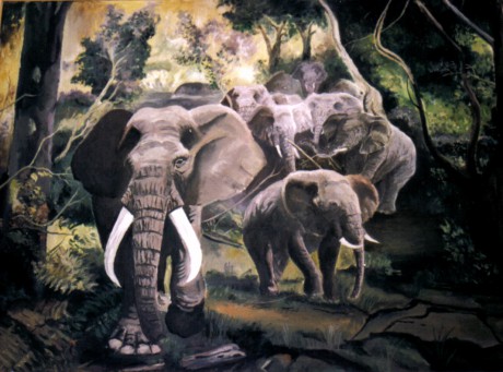 sloni.jpg