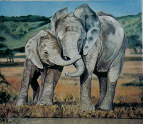 slonice a slune.jpg